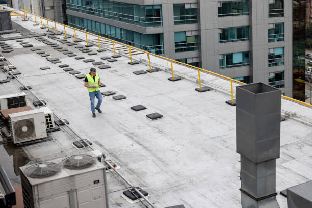Best Green or Eco-Friendly Roofing Solutions  in Federalsburg, MD