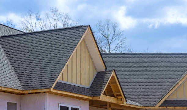 Best Skylight Installation and Repair  in Federalsburg, MD