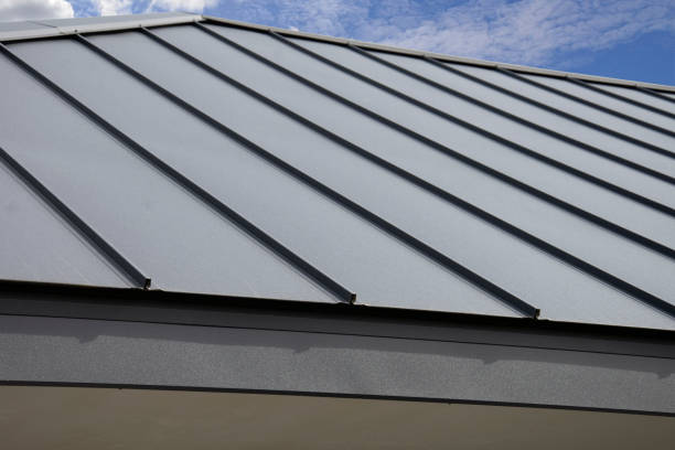 Best Solar Panel Roofing Installation  in Federalsburg, MD