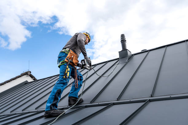 Best Roof Maintenance and Cleaning  in Federalsburg, MD